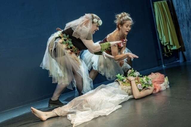 Le Songe d'une nuit d'été — Shakespeare, Aile Théâtre 2024