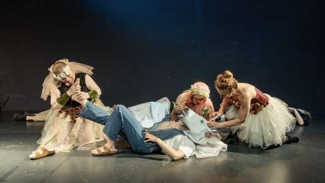 Le songe d’une nuit d’été — Aile Théâtre 2024 — photo 7